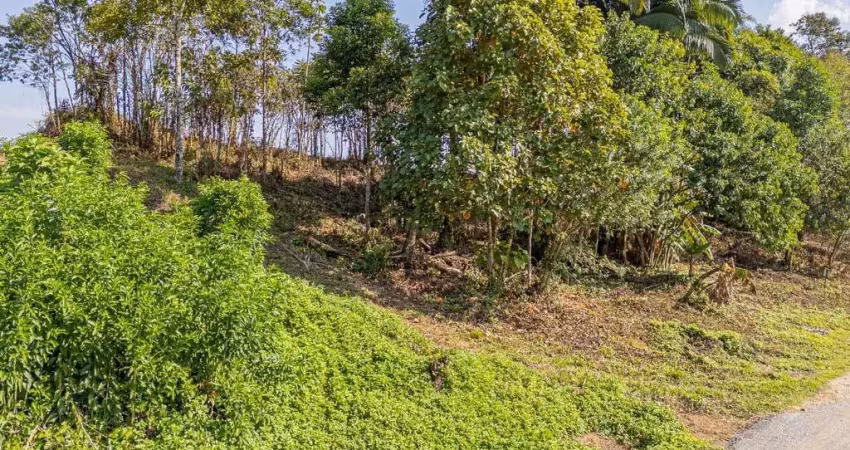 Terreno à venda na Servidão Gereon Johannes Kruger, 2, Santa Catarina, Joinville