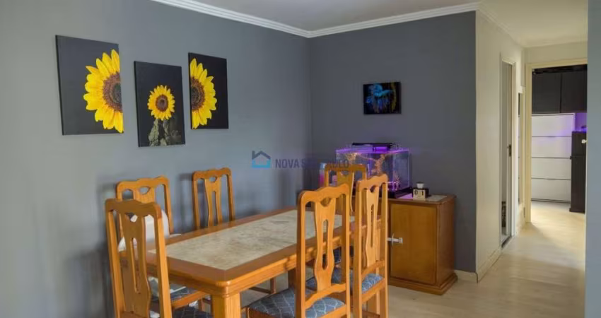 Apartamento 3 dormitórios,  sala ampla,1 vaga!