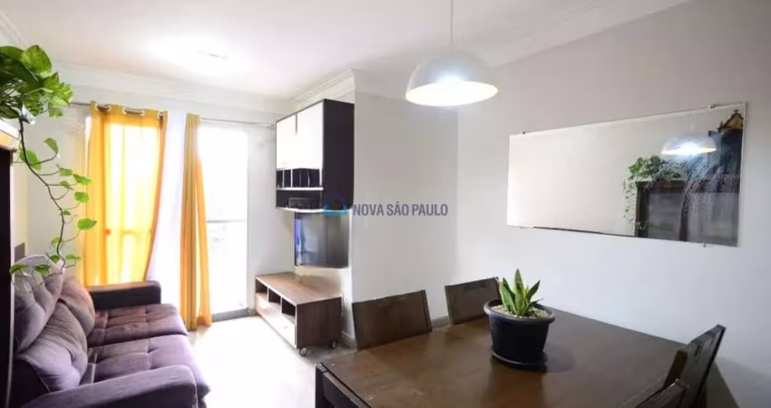 Apartamento no Cambuci 3 Quartos
