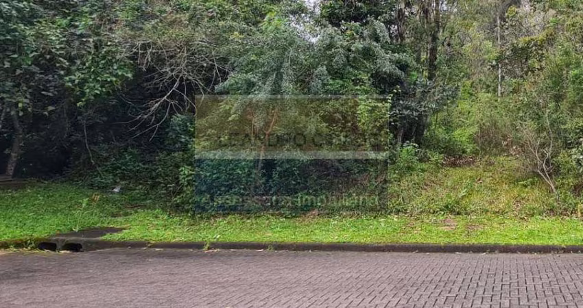 Terreno / Lote / Condomínio à venda no Bairro Condomínio Buena Vista com 330 m² de área privativa