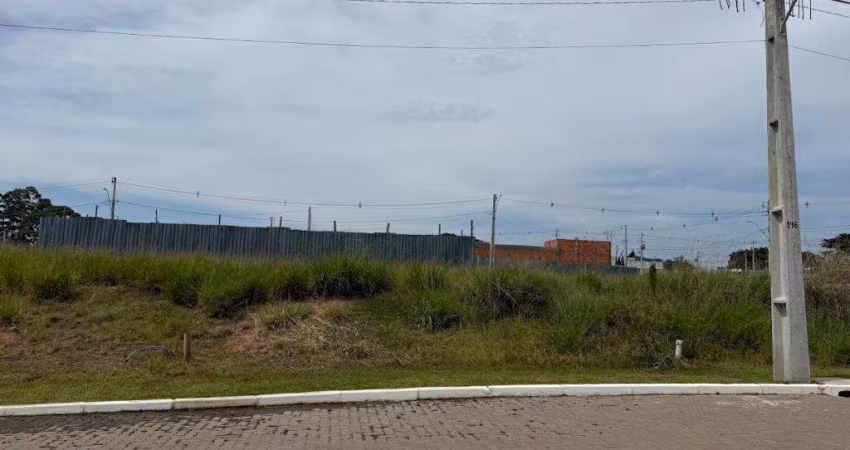 Terreno / Lote / Condomínio à venda no Bairro Vila Augusta com 180 m² de área privativa