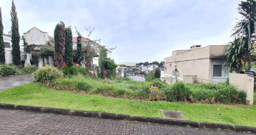Terreno / Lote / Condomínio à venda no Bairro Condomínio Buena Vista com 330 m² de área privativa
