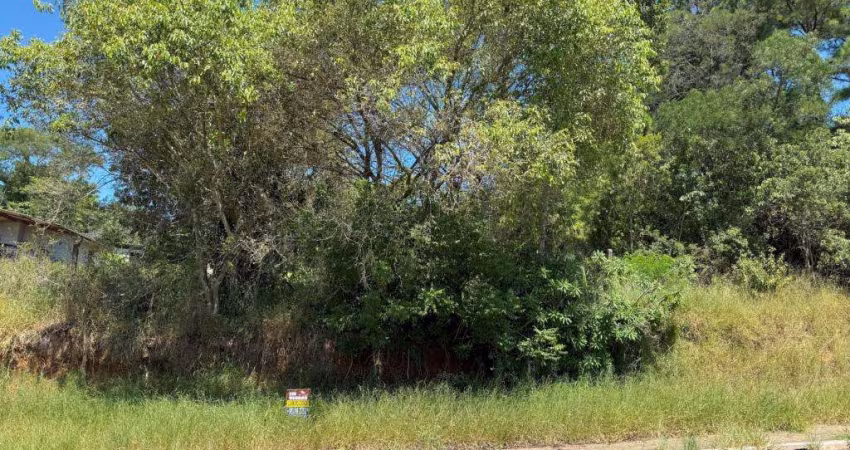 Terreno à venda no Bairro Tarumã com 547 m² de área privativa