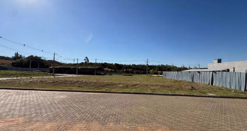 Terreno / lote / condomínio à venda no bairro vila augusta com 180 m² de área privativa