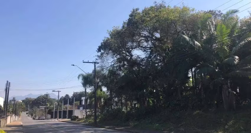 Terreno no bom retiro com 0 quartos para venda, 5056 m²