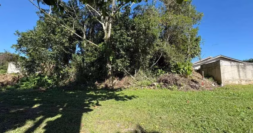 Terreno à venda, 384m² por r$ 120.000,00 - balneário palmeiras - itapoá sc