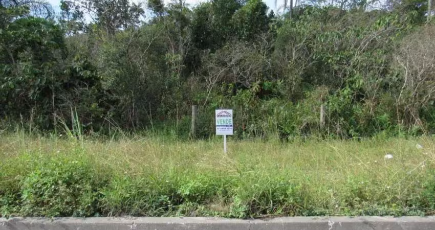 Terreno à venda, 521 m² por r$ 170.000,00 - santa terezinha - itapoá/sc