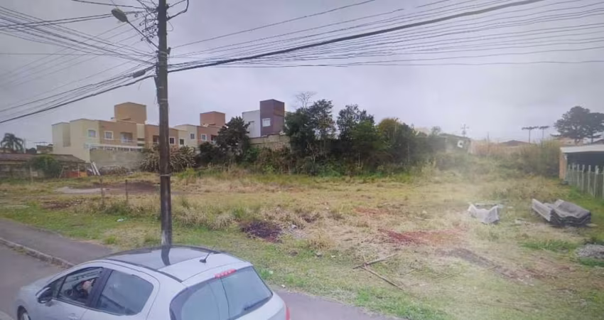 Terreno para Locação em Campina Grande do Sul, JARDIM PAULISTA