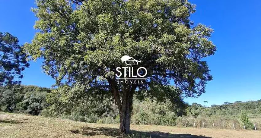 Terreno à venda na Rua Olinto Spréa, 38, Ferraria, Campo Largo