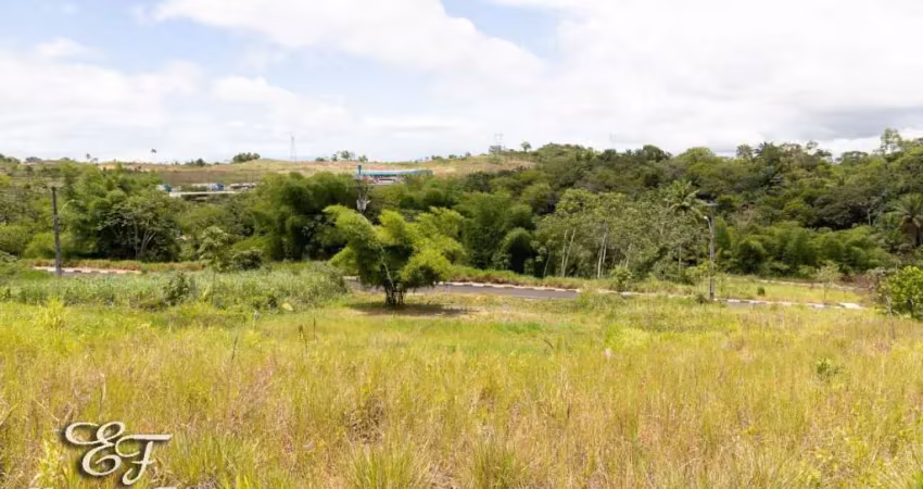 Terreno à venda na BR 324, KM 599, Centro, Simões Filho