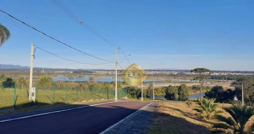 Terreno à venda, 1000 m² por R$ 790.000,00 - Jardim Amélia - Pinhais/PR