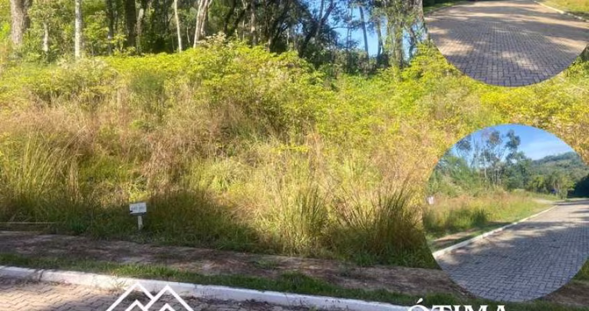 Terreno a Venda em Nova Petrópolis
