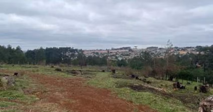Terreno à venda - Oportunidade para Investidores
