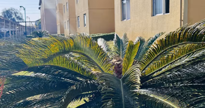 Apartamento com 2 quartos à venda na Rua Eduardo Pinto da Rocha, Sítio Cercado, Curitiba