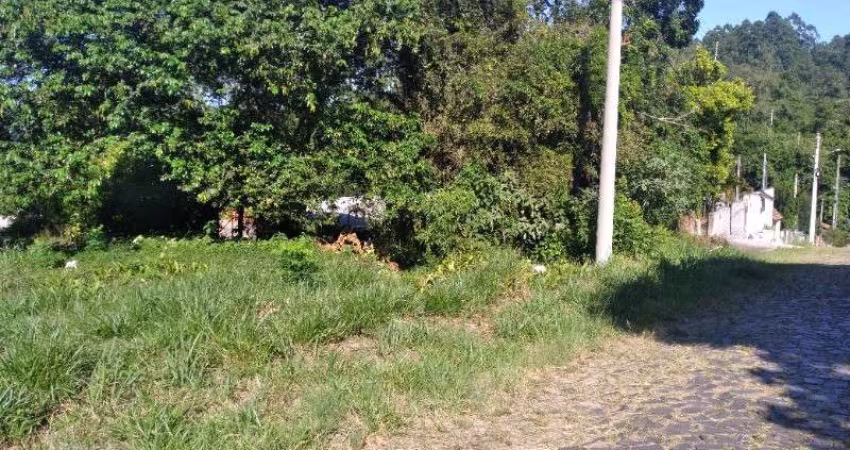 Terreno à venda na Rua Carlos Corrêa da Silva, Santo Antônio, Montenegro