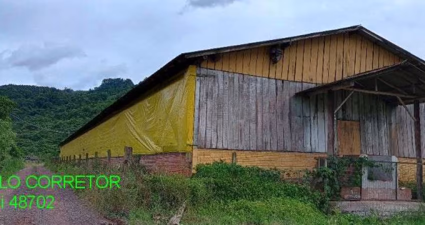 Chácara / sítio à venda na Rodovia Transitrus, 1001, Linha Pinheiro Machado, Brochier