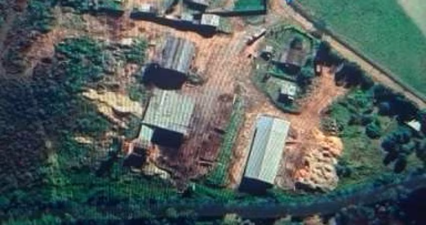 Chácara / sítio com 4 quartos à venda na Estrada Calafate, s/n, Zona Rural, Montenegro