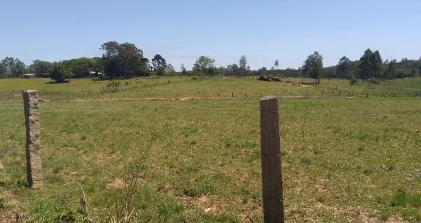 Chácara / sítio com 5 quartos à venda na Estrada Geral Passo Fundo, s/n, Passo Fundo, Triunfo