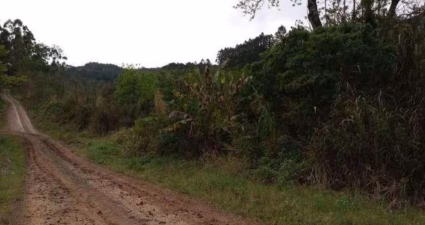Rurais à venda - no Centro