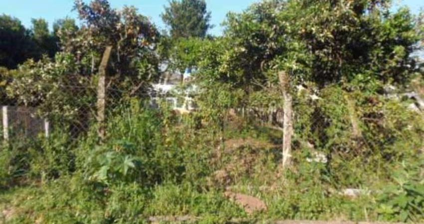 Rurais à venda - no Centro