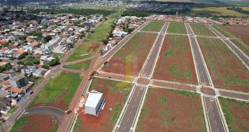 VALE VERDE LANÇAMENTO