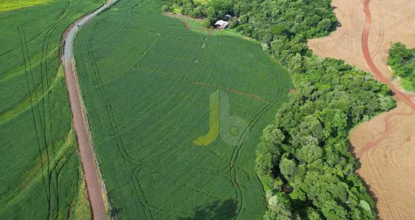 Chácara / sítio com 3 quartos à venda na Estrada Gonçalves Dias, Zona Rural, Lindoeste