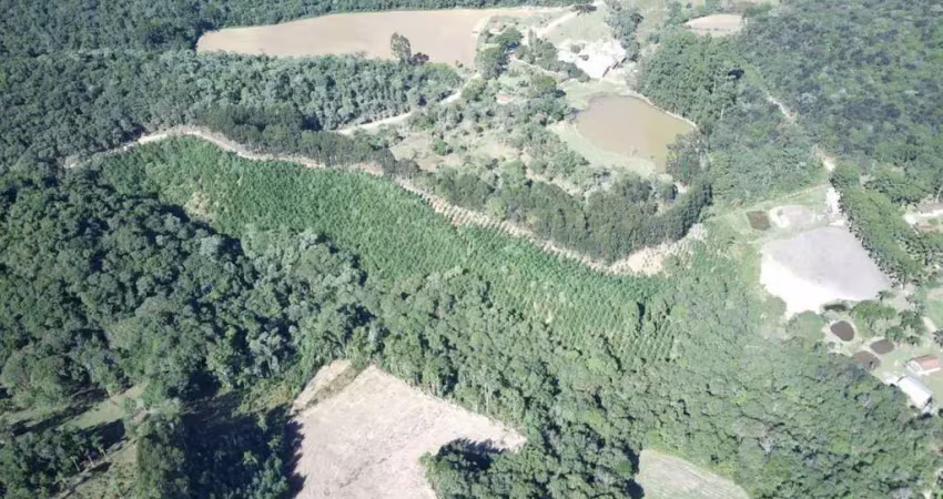 Chácara à venda no bairro guabiroba - campo largo/pr