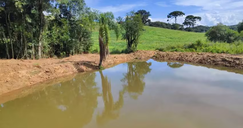Chácara no bairro colônia cristina - em araucária/pr.