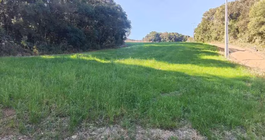 Chácara à venda em araucária/pr - no bairro colônia cristina
