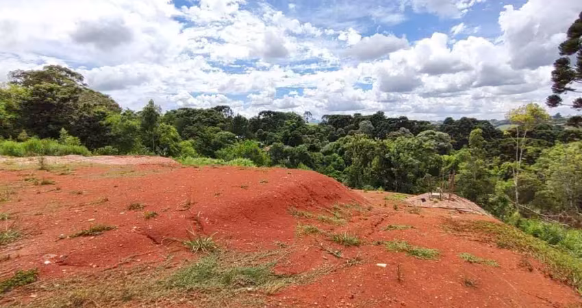 Terreno à venda na Vila Rivabem, Campo Largo 