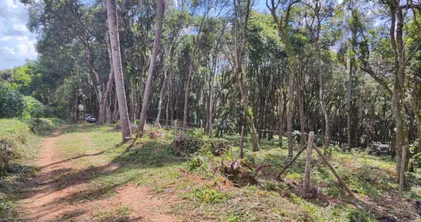 Chácara a venda no bairro colônia balbino cunha - em campo largo/pr