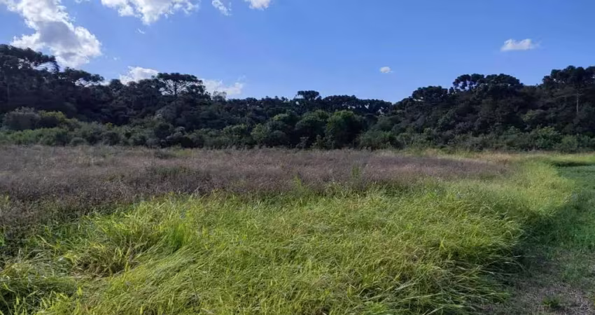 Chácara a venda no bairro rodeiozinho - em balsa nova/pr