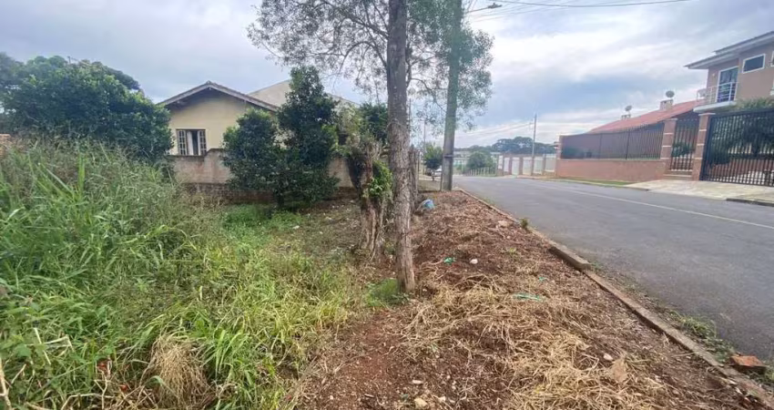 Terreno urbano a venda no bairro são caetano - em balsa nova/pr