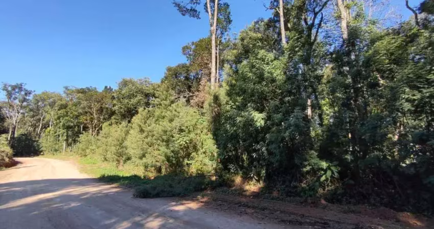 Chácara a venda no bairro ipiranga -em araucária/pr