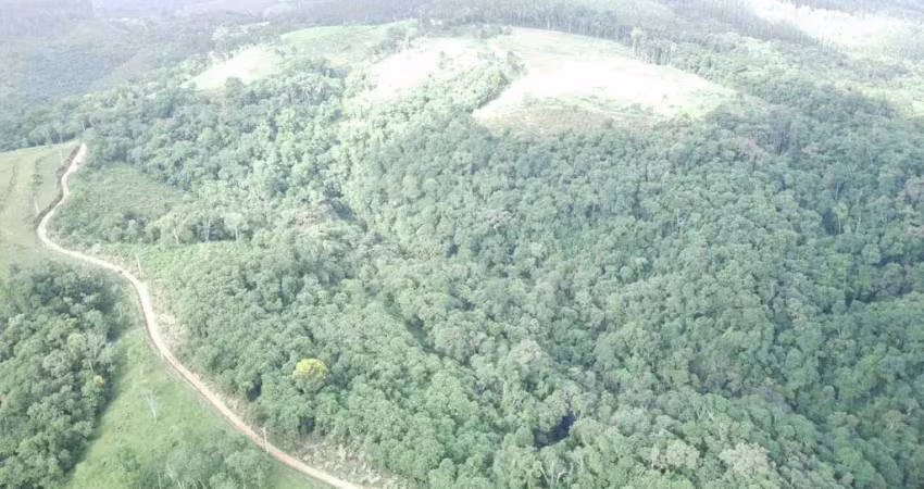 Terreno para formação de chácaras à venda na estrada da ribeira – campo largo/pr