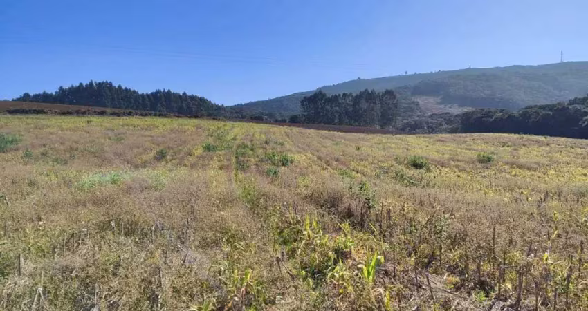 Chácara / sítio com 1 quarto à venda no Bugre, Balsa Nova 