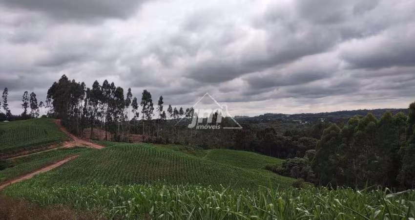 Lote para formação de Chácara, em Balsa Nova/PR.
