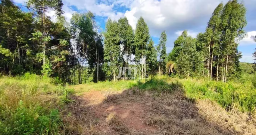 Lote para formação de chácara à venda em balsa nova/pr