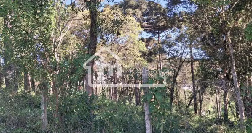 Terreno à venda em condomínio no bairro moradias bom jesus - campo largo/pr