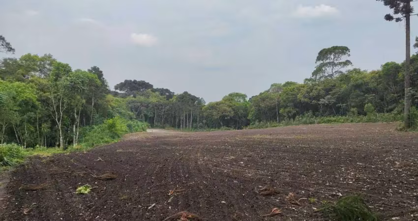 Chácara a venda em balsa nova/pr - bairro são caetano