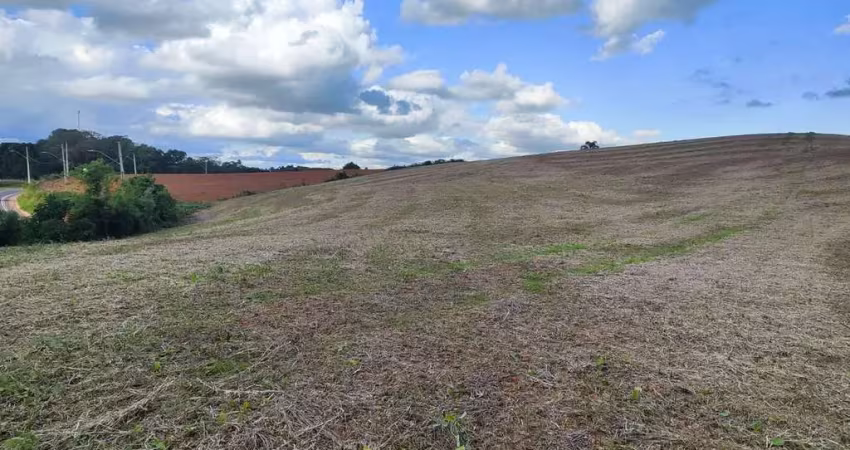 Chácara a venda no bairro roça velha - em araucária/pr