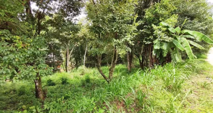 Terreno a venda no bairro são caetano - balsa nova/pr