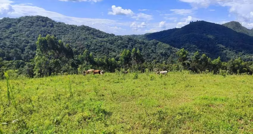 Chácara a venda no bairro retiro - em campo largo/pr