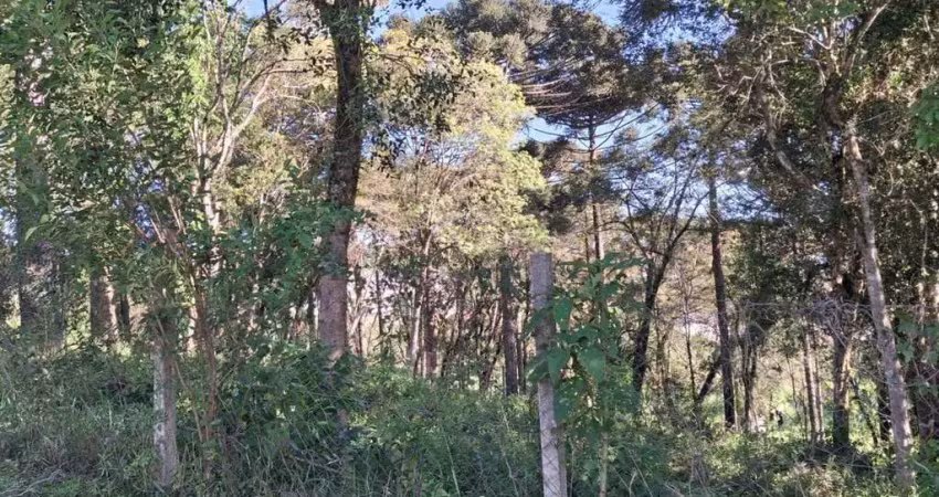 Terreno à venda em condomínio no bairro moradias bom jesus - campo largo/pr