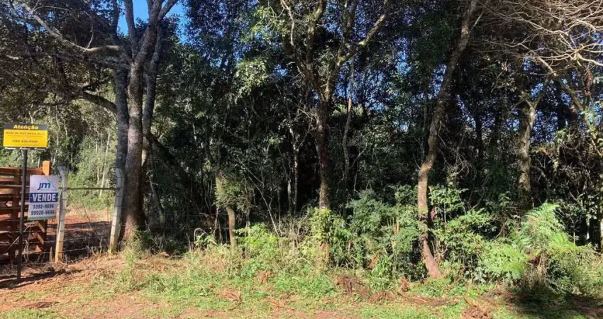 Terreno à venda no bairro rodeiozinho - balsa nova/pr