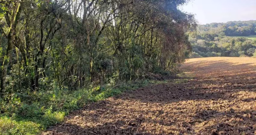 Chácara a venda no bairro colônia balbino cunha - em campo largo/pr