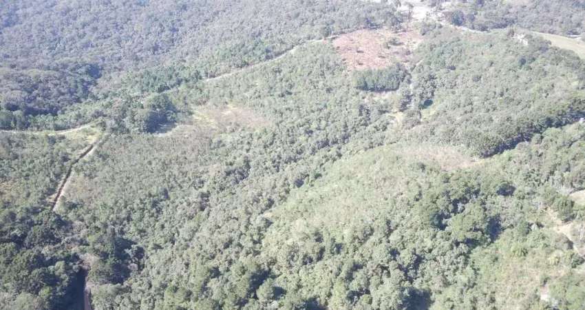 Chácara à venda no bairro três córregos - em campo largo/pr