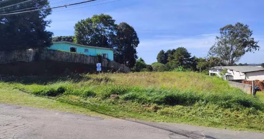 Terreno a venda no bairro partenope - em campo largo/pr