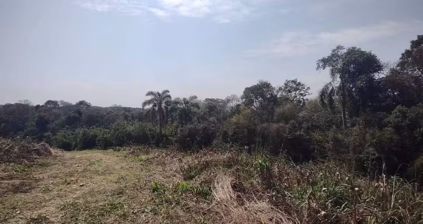Lote para formação de chácara à venda, em balsa nova/pr.