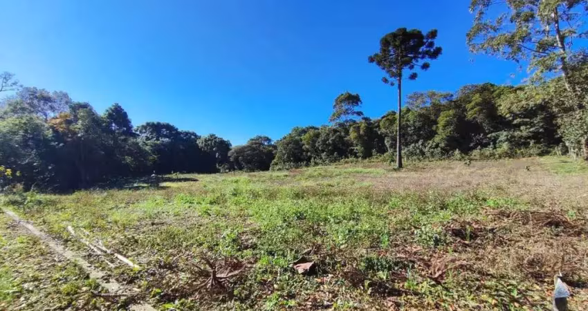 Terreno industrial para venda no bairro são caetano - em balsa nova/pr